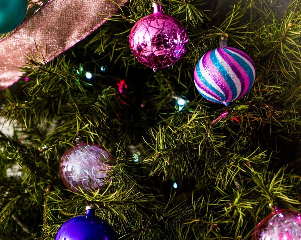 Bring Home the Magic of a Christmas Tree